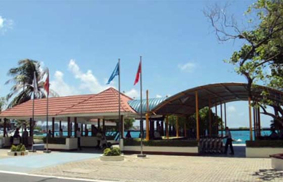 About Image 1